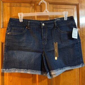 d. jeans Women's Blue Denim Modern Fit Shorts Size 16